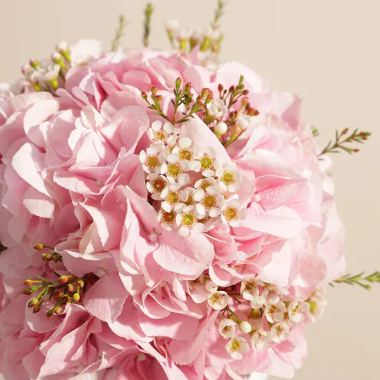 Whispering Blush Muse Flower Vase
