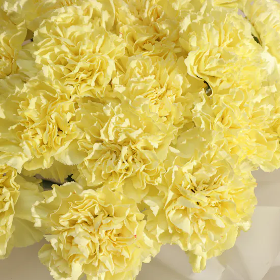 Sunny Yellow Carnation Bouquet