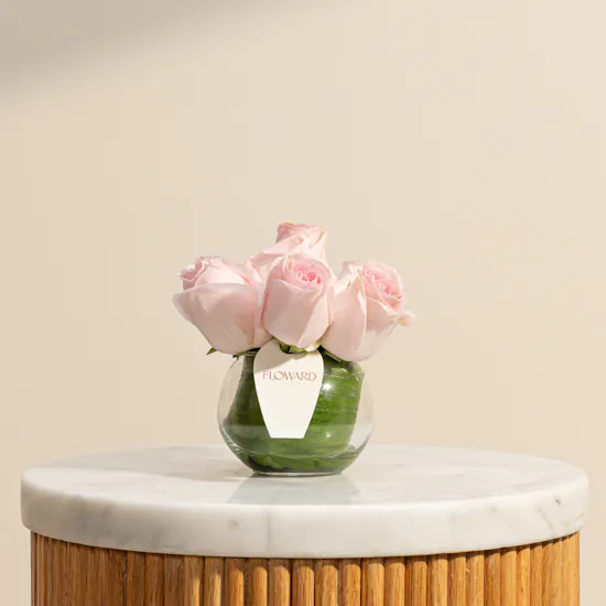 The Light Pink Rose Vase