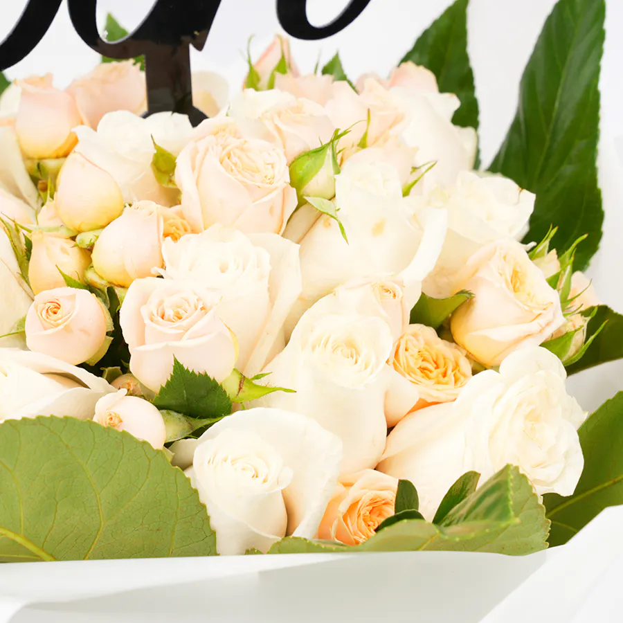 White Wellness Roses | White Wrap  2
