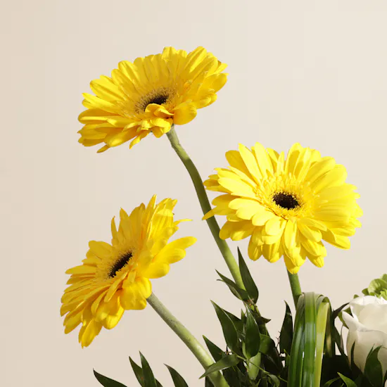 Sunlit Legacy Sadu Flowers Vase