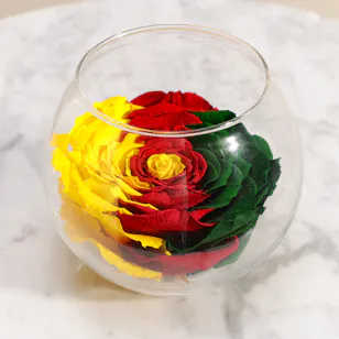 Infinity Charm preserved Roses Vase