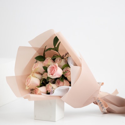 Vendela Vibe | Rosita Roses