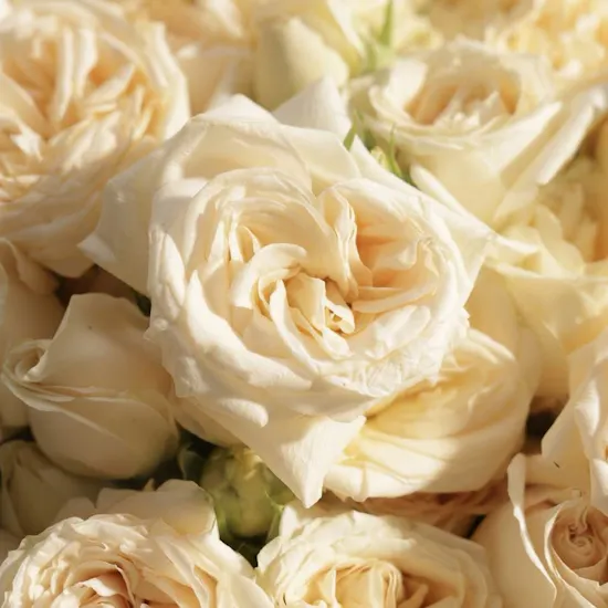 Enchanted Flowers Vase | 35 Flowers