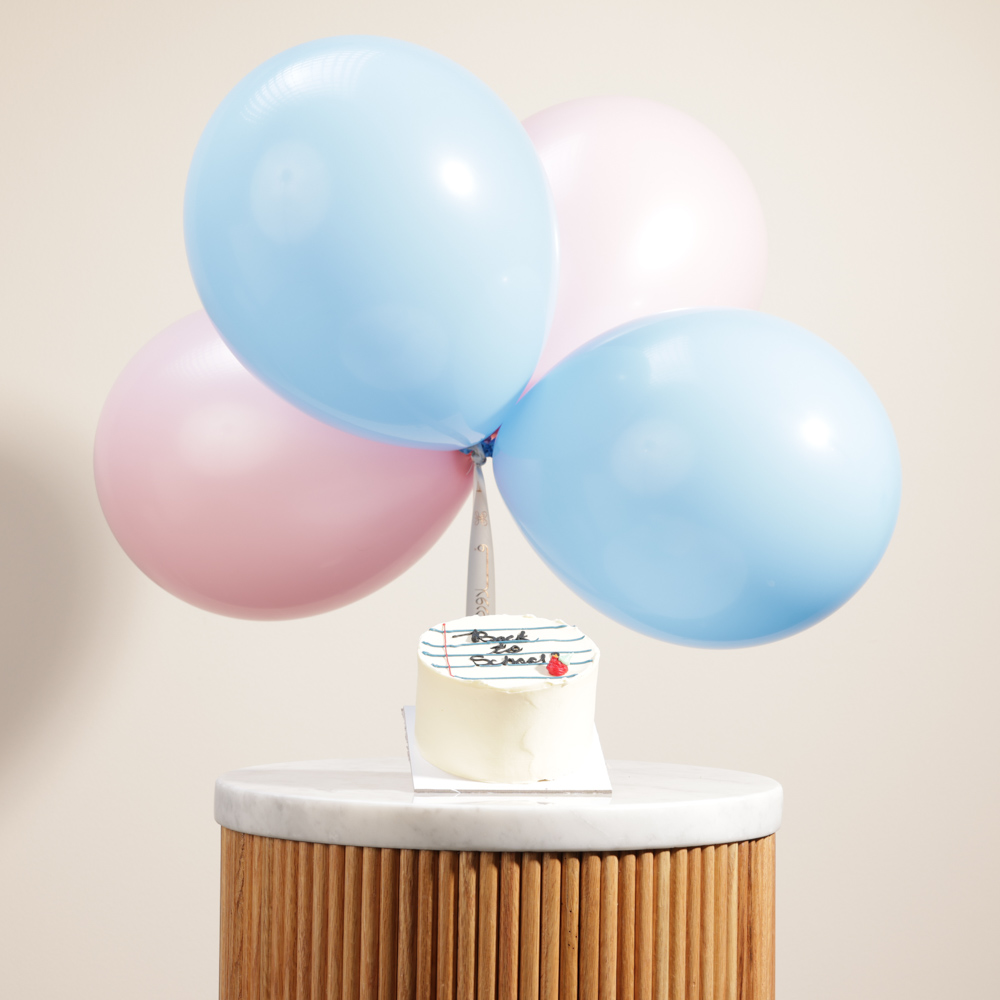 Cake Boutique Back to School Mini Cake | Balloons