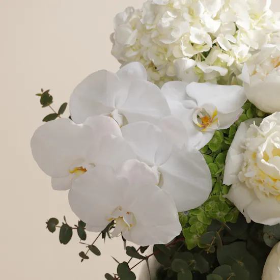 Peony Grace Harmony Vase
