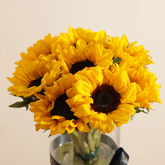 Sweet Atelier Lemonati Get Well Soon Cake | Heart Warming Flowers Vase