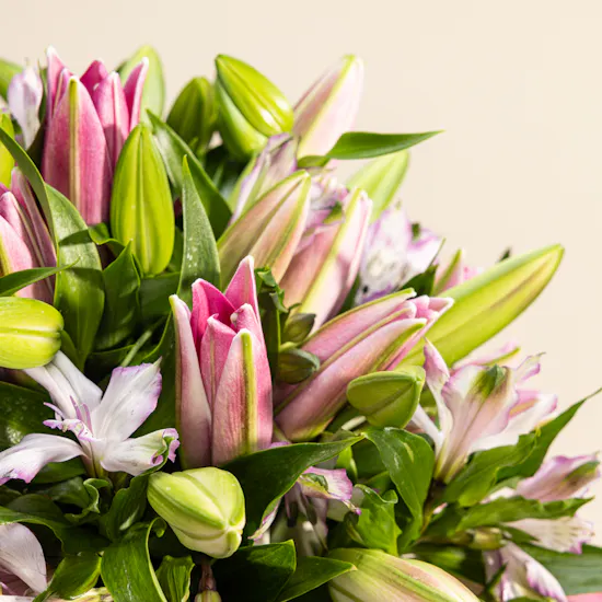 Blush Bloom Flowers Vase