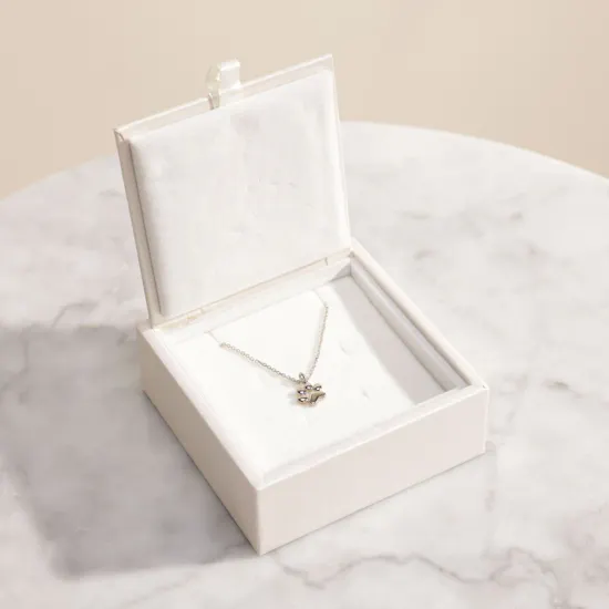 Vega Paw Silver Necklace