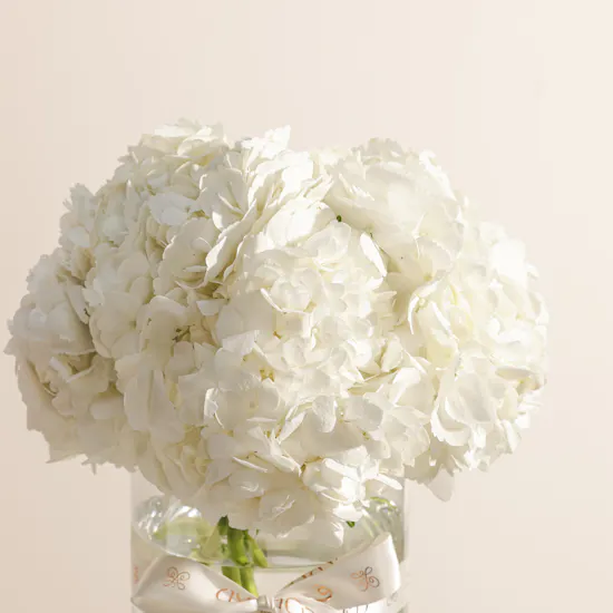 عطر الشتاء من مبخر | زهور همس الندى