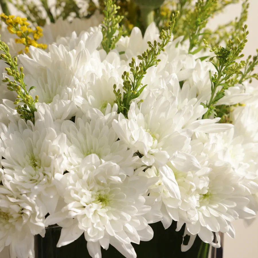 Morning Sun | Square Vase 2