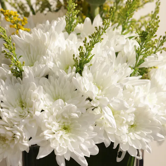 Morning Sun | Square Vase