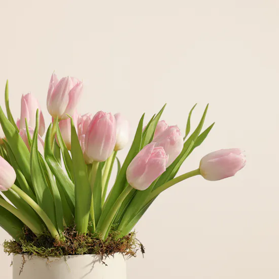 Soft Touch Tulip Box