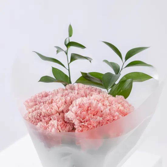 Blush Elegance | Carnation Bouquet