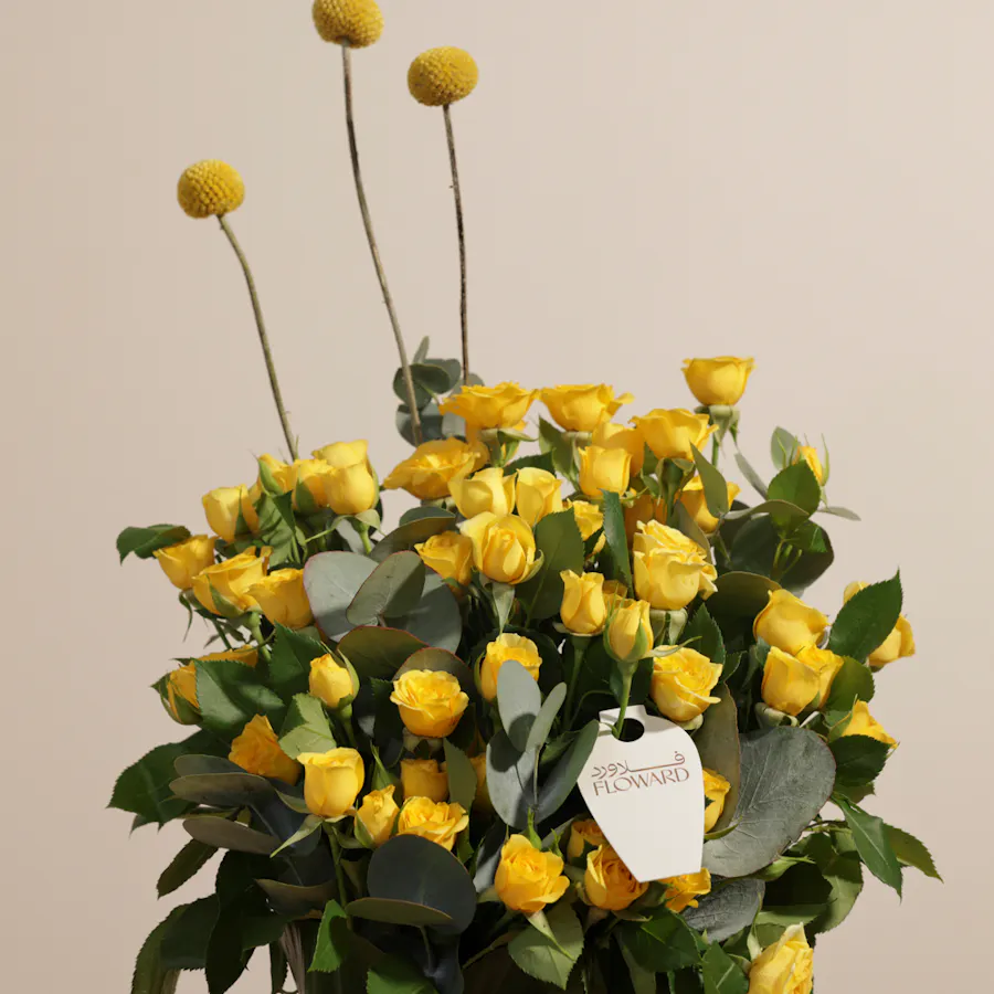 Sucre De Nada Congratulations Vanilla Cake | Dreamy Vase 6