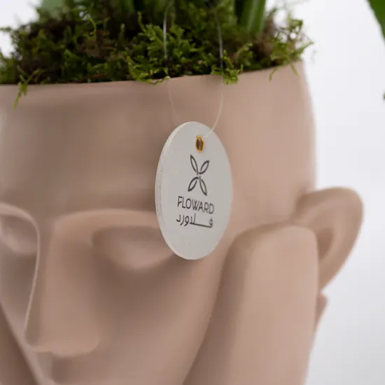 Spathiphyllum Sweet Rocco Plant | Sculpture Pot