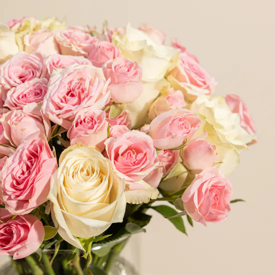 Majestic Beauty Roses Vase