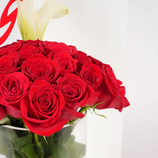 Roses of The Soul