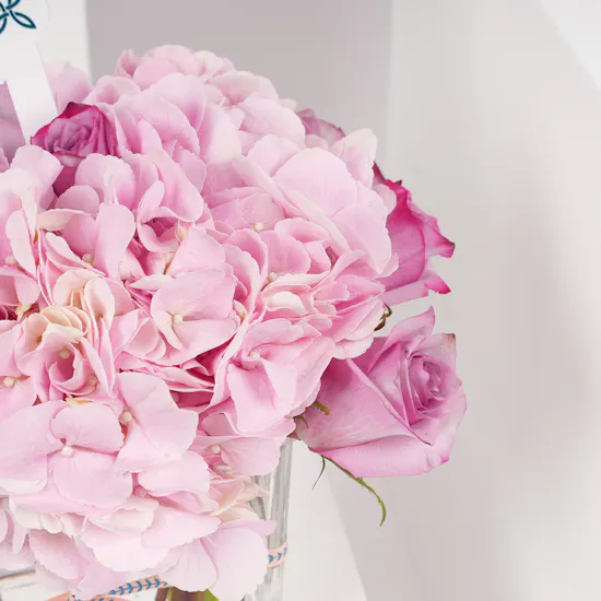Ermine Macarons Small Box | Birthday Blooms