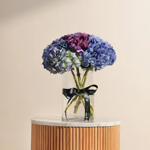 Joyful Hydrangea Vase