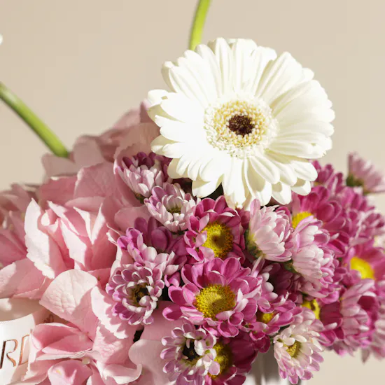 Blush Paws Flower Vase