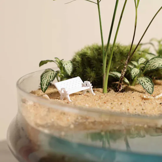 Nano Garden Closed Terrarium