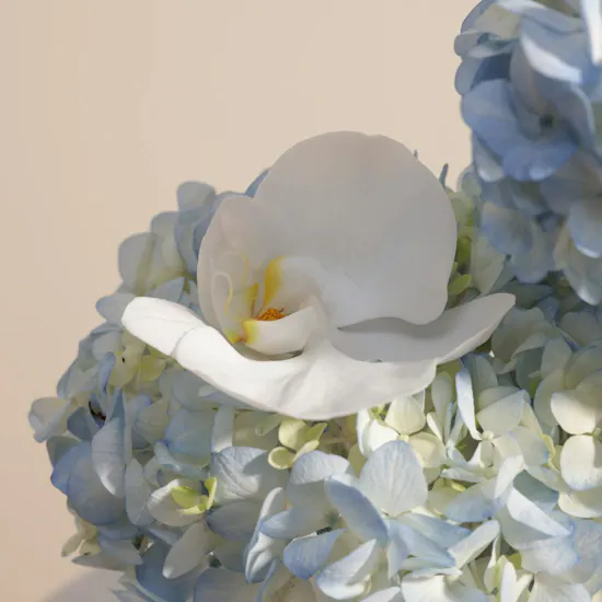مزهرية الهيدرانجيا المزدوجة والأوركيد
