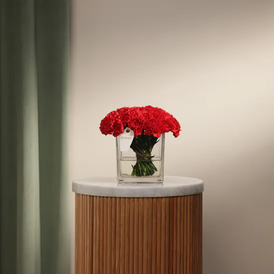Romantic Red Carnations Vase