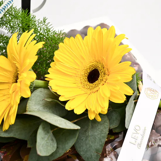 Levo Square Chocolate Tray | Congratulation Blooms