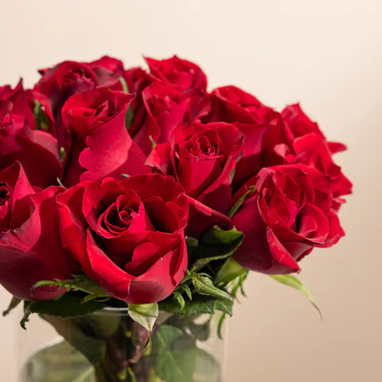 Love Harmony Rose Vase