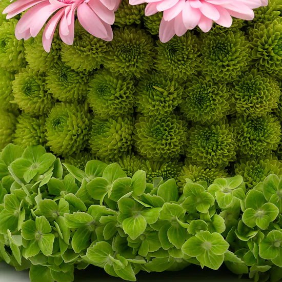Vibrant Blooms Cake