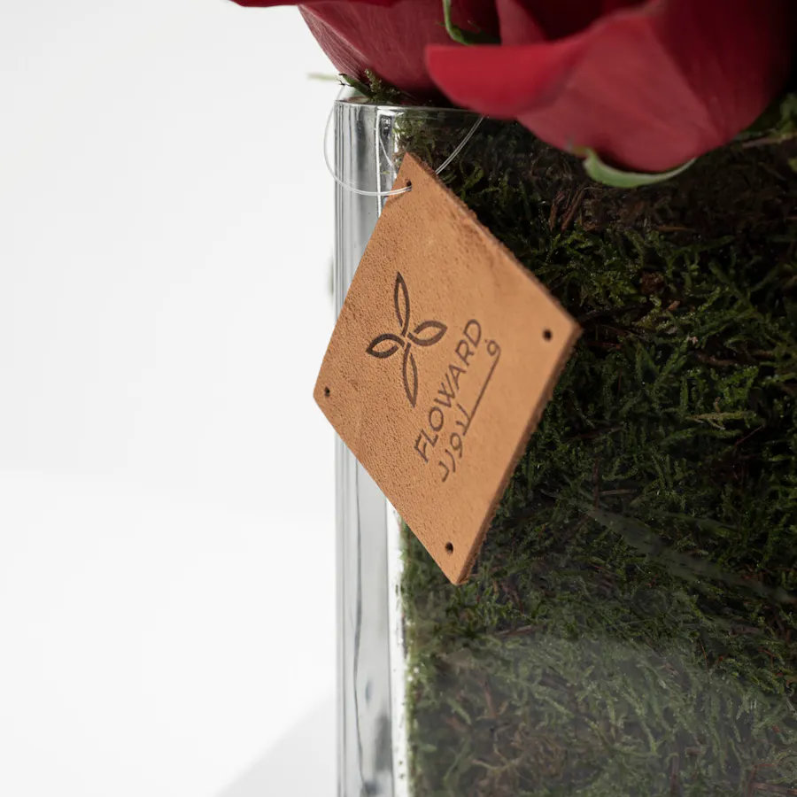 Teddy Bear | Red Roses Vase 5