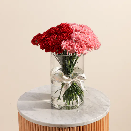 Radiance Carnations Vase