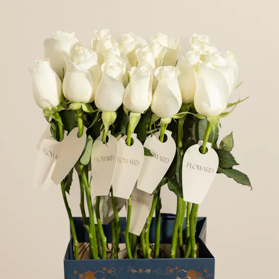 Teachers Day White Roses Giveaways