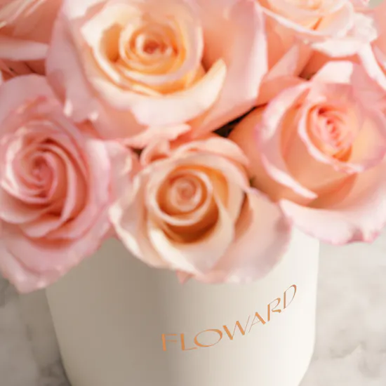 Pink Roses Whisper Box | 15 Roses