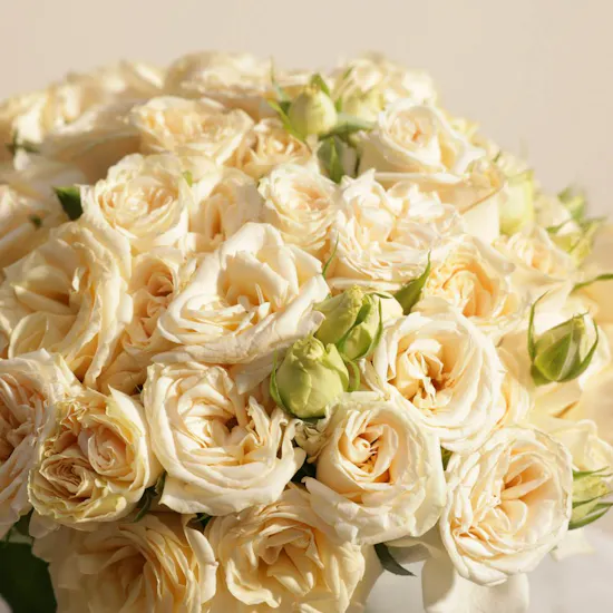 Peach Baby Roses Vase | 18 Flowers
