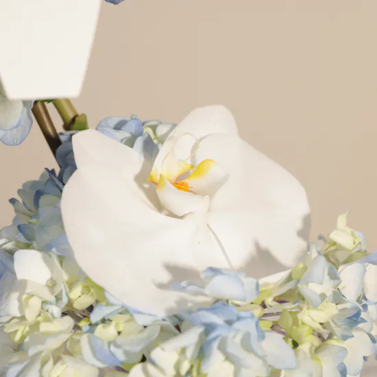 Breehant Coffee Crop Box | Magical Flowers Vase