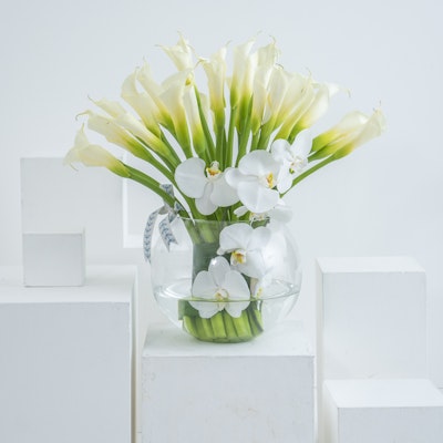 Wellness | White Calla Lily & White Orchids
