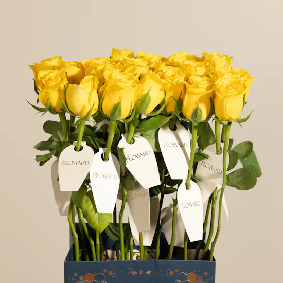 Teacher's Day Single Yellow Rose Giveaways
