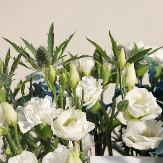 Tommy Hilfiger Blue Watch | Elegant Vase