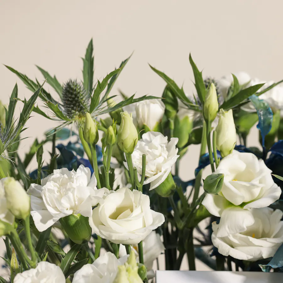 Tommy Hilfiger Blue Watch | Elegant Vase 3