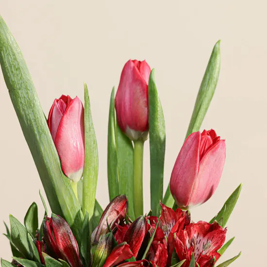 Red Scarlet Elegance Flowers Vase