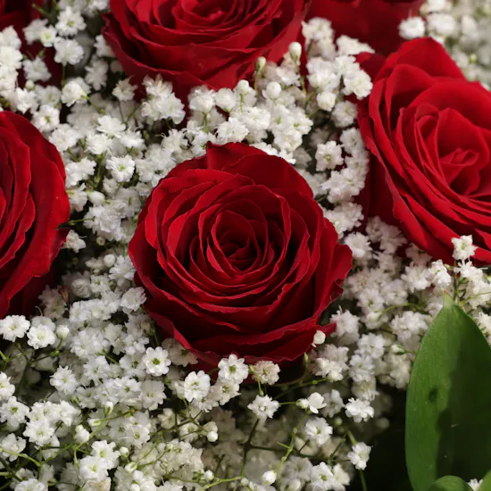 Red Beautiful Flowers Vase