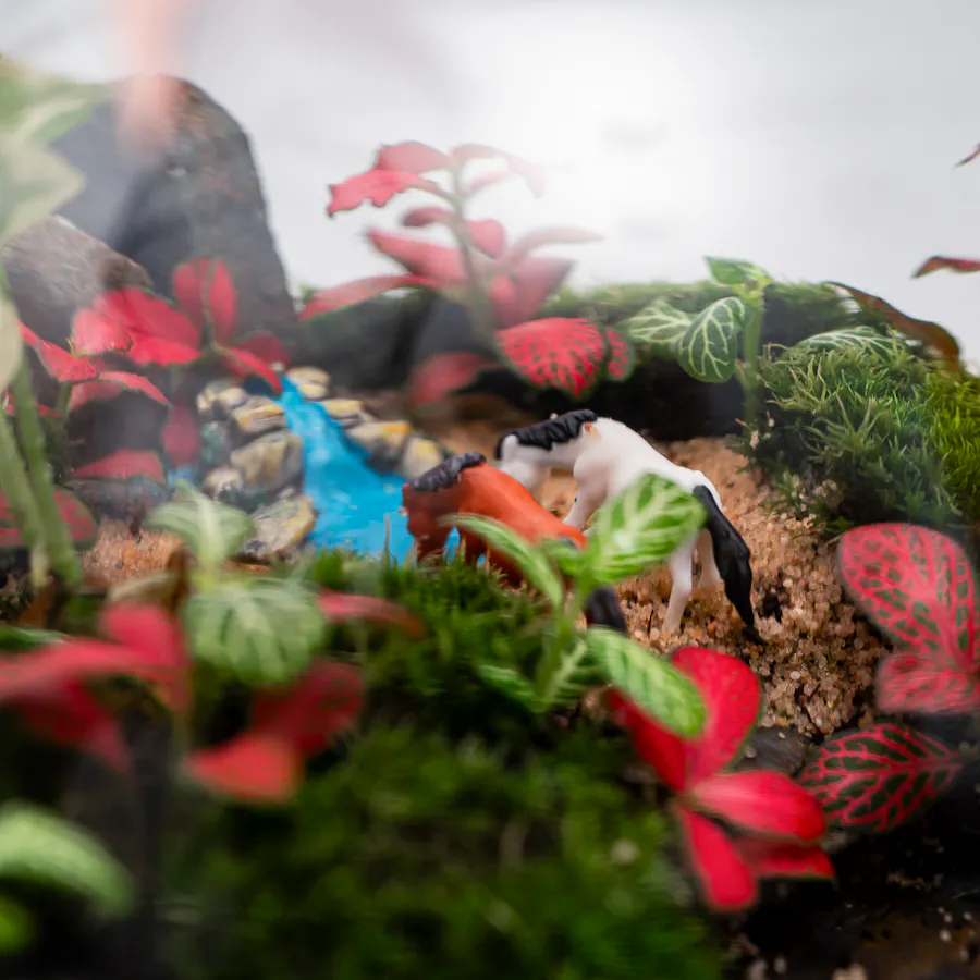Little Green Forest | Closed Terrarium  4