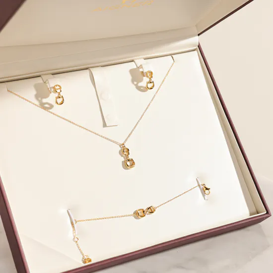 Aigner Sella Set Gold Plated Tone Women's Set