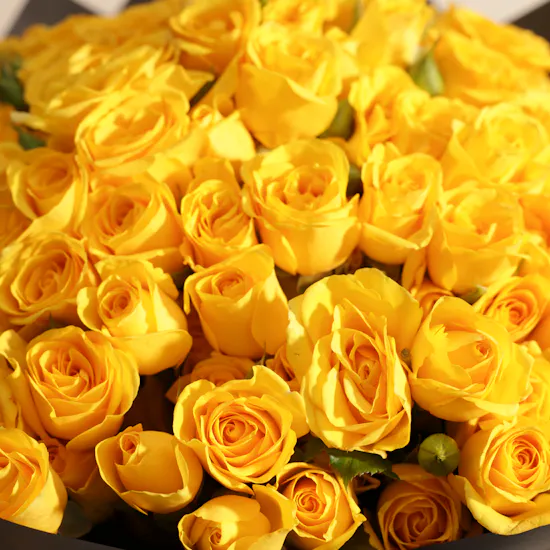 Sunny Daydream Bouquet | 35 Baby Roses