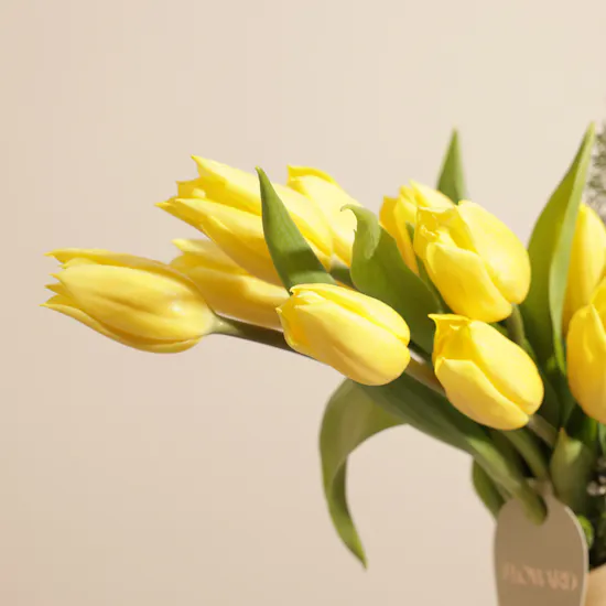 Golden Hour Tulip Vase