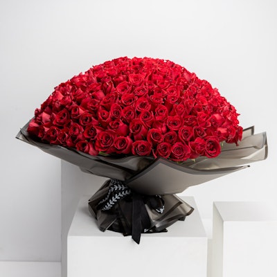 Big Love | 250 Red Roses