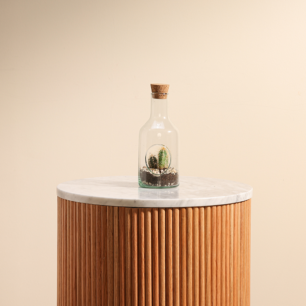 Cactus Plant Glass Pot