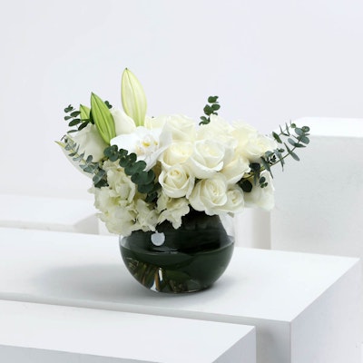السكون الأبيض | 30 زهرة